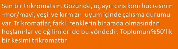 İnsanların sadece %25'inin tüm renkleri görebildiği bu resimde, sen kaç renk görüyorsun? - Page 2