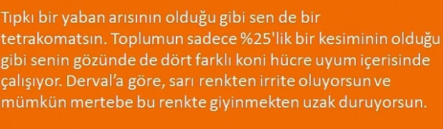 İnsanların sadece %25'inin tüm renkleri görebildiği bu resimde, sen kaç renk görüyorsun? - Page 3