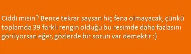 İnsanların sadece %25'inin tüm renkleri görebildiği bu resimde, sen kaç renk görüyorsun? - Page 4