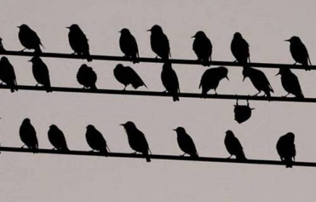 İnternetteki en ilginç fotoğraflar! - Page 1
