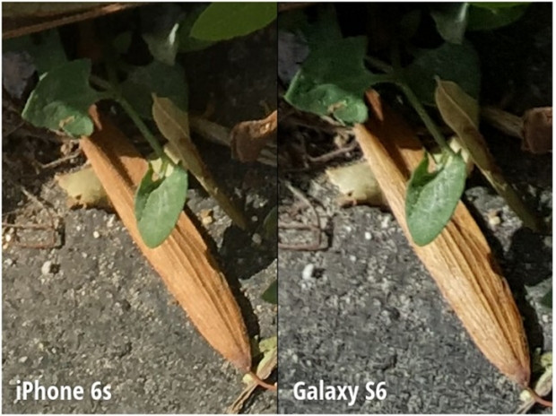 iPhone 6s ve Galaxy S6 kamera karşılaştırması - Page 3