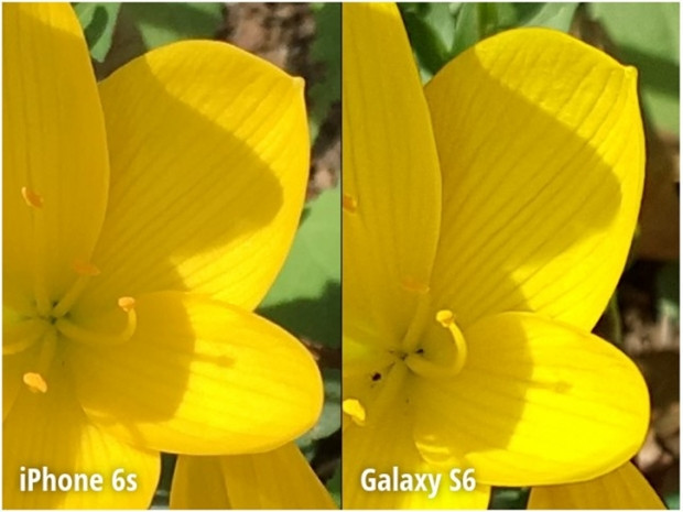 iPhone 6s ve Galaxy S6 kamera karşılaştırması - Page 4