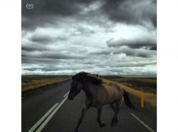 iPhone ile çekilmiş ödüllü fotoğraflar - Page 1