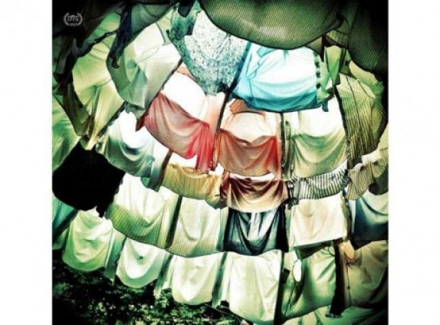 iPhone ile çekilmiş ödüllü fotoğraflar - Page 4