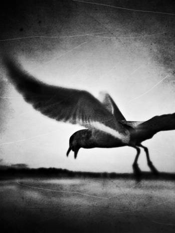 iPhone ile fotoğraf sanatı - iPhoneography ! - Page 2
