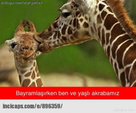 İşte Bayram'a özel capsler - Page 4