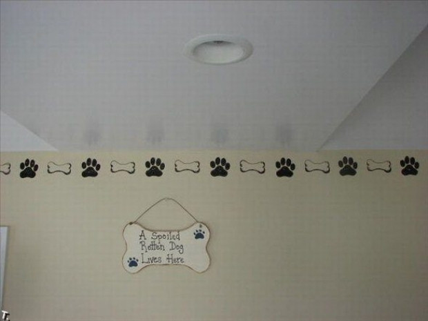 İşte dünyanın en lüks köpek kulübesinden fotoğraflar - Page 2