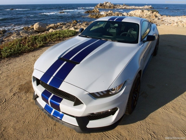İşte Mustang Shelby GT350 2016 - Page 1