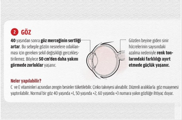 İşte organlarımızın şaşırtan yaşlanma süreleri - Page 1