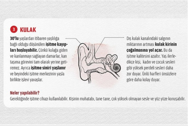 İşte organlarımızın şaşırtan yaşlanma süreleri - Page 2