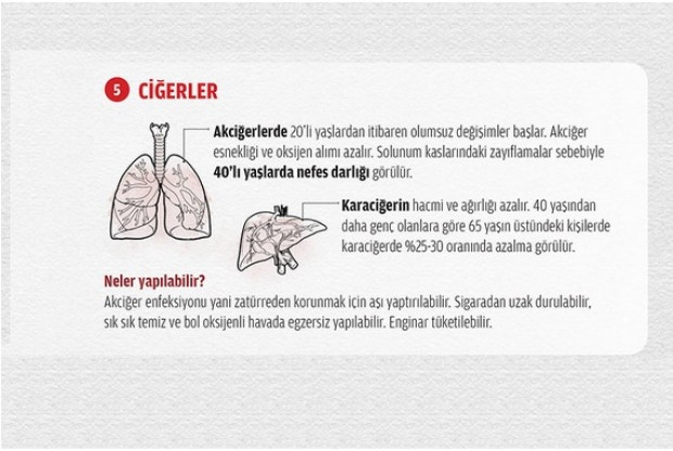 İşte organlarımızın şaşırtan yaşlanma süreleri - Page 4