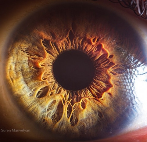 İşte yakın çekim gözlerimizin fotoğrafları - Page 3
