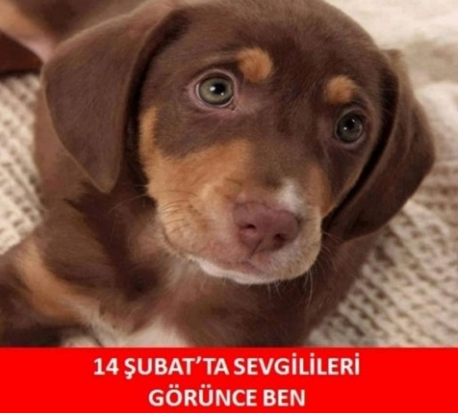 Komik 14 Şubat sevgililer günü capsleri - Page 3