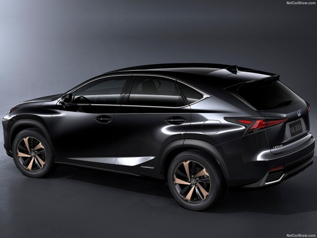 Lexus NX 2018 - Page 1