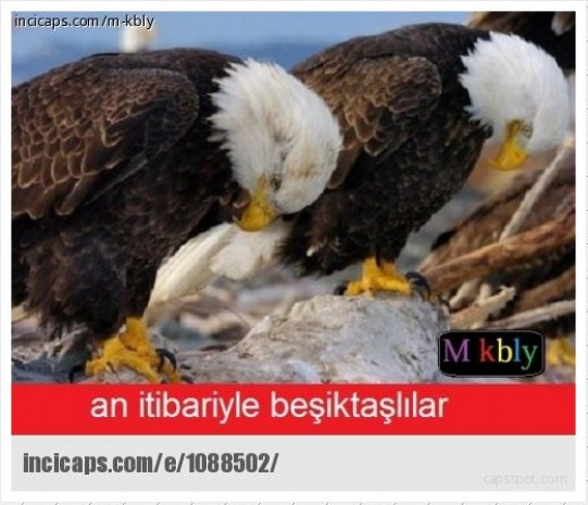 Liverpool - Beşiktaş maçı capsleri - Page 1