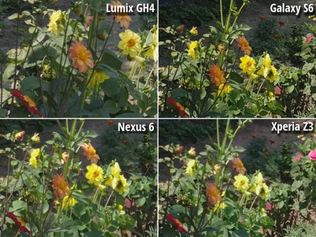 Lumix GH4, Nexus 6, Xperia Z3 ve Galaxy S6 kamera karşılaştırması - Page 1