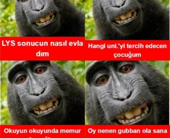 LYS sonuçları açıklanınca öğrenciler - Page 3