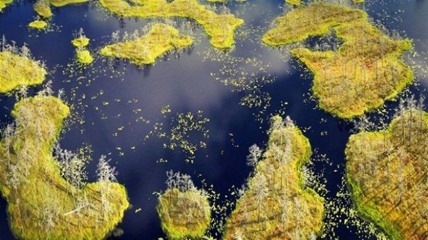 National Geographic yılın doğa fotoğrafçılarını belirliyor - Page 3