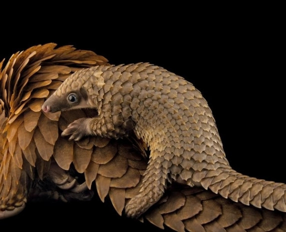 National Geographic'in editörleri en iyileri seçti - Page 4