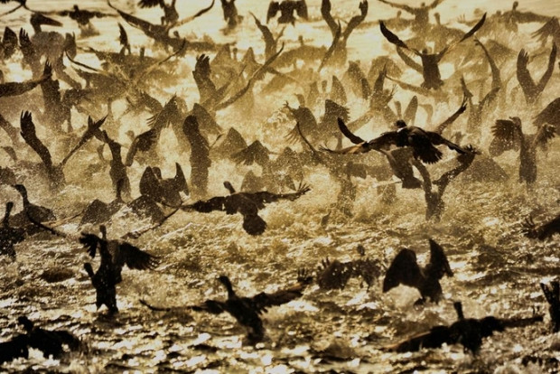 National Geographic'in Türkiye birincileri! - Page 2