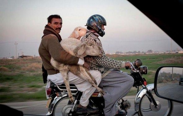 Ne işe yaradığını bulan dışında bilen yok! - Page 3