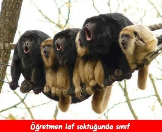 Öğretmenler gününe özel en komik capsler - Page 3