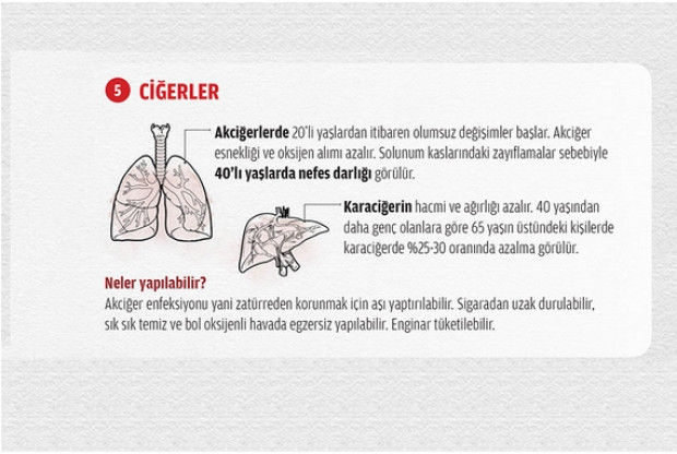 Organlarınızın ömrünü biliyor musunuz? - Page 4