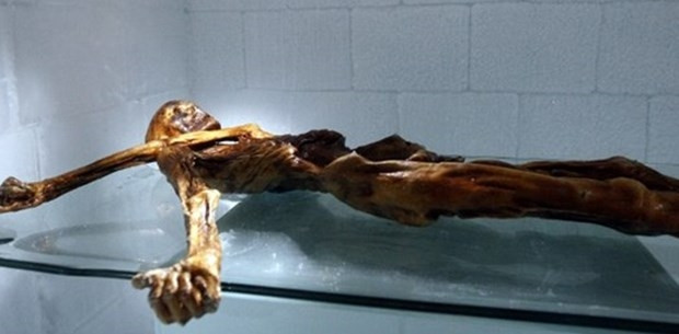 Ötzi'nin bir sırrı daha çözülüyor - Page 1