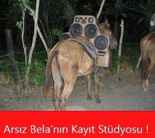 Paylaşılan en komik Caps'ler - Page 4