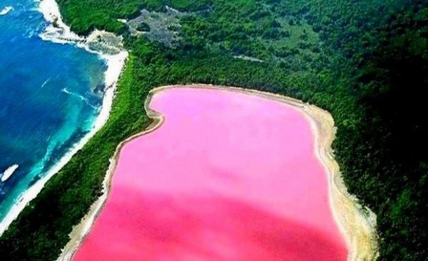 Pembe gölün sırrı çözüldü! - Page 2