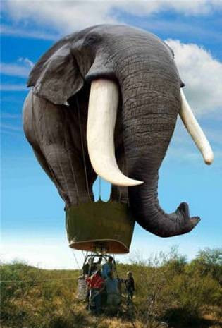 Photoshop mucizeleri! - Page 2