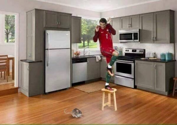 Photoshop'çular Ronaldo'yu madara etti - Page 2