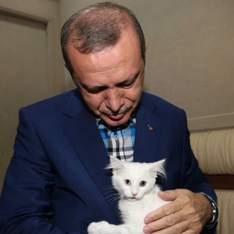 Recep Tayyip Erdoğan’ın Instagram hesabından paylaştığı fotoğraflar - Page 4
