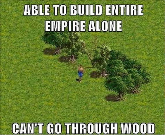 Sadece Age Of Empires 2 oynayanların bildiği 15 gerçek - Page 4