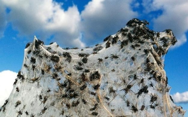 Sadece Avustralya'da çekilebilecek 25 fotoğraf! - Page 2