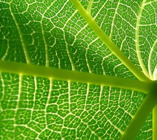Samsung Galaxy S3 HD Wallpaper - Doğa - Page 2