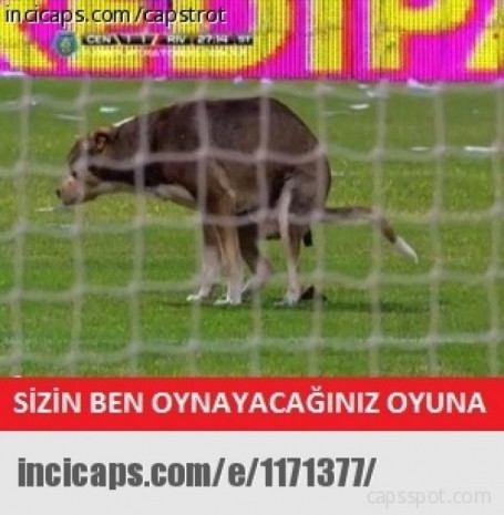 Shakhtar Donetsk - Fenerbahçe maçı sonrası capsler - Page 4