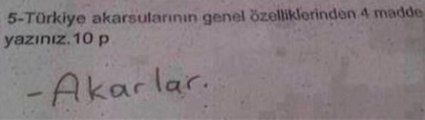 Sınav kağıtlarına öyle bir cevap yazdılar ki - Page 4