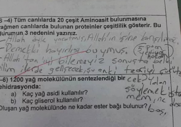 Sınav sorularına verilen komik cevaplar! - Page 3