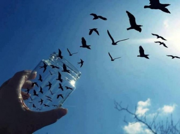 Sizi perspektifin azizliğine uğratacak 18 fotoğraf - Page 3