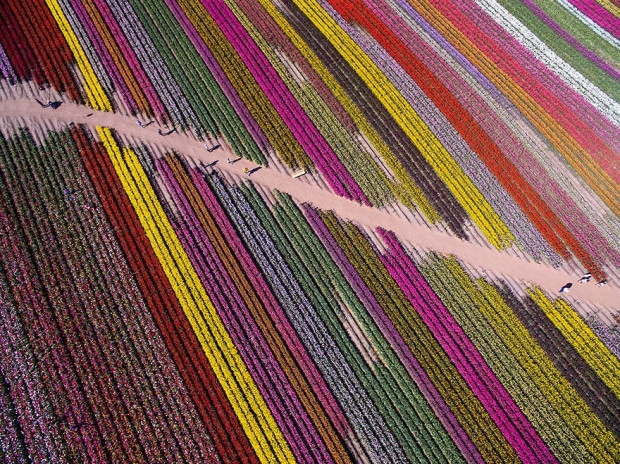 Skypixel yarışmasında dereceye giren fotoğraflar - Page 4