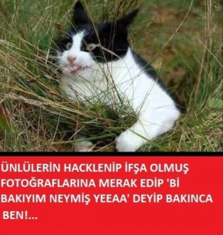 Sosyal medyada ses getiren 1 Eylül Caps'leri - Page 4