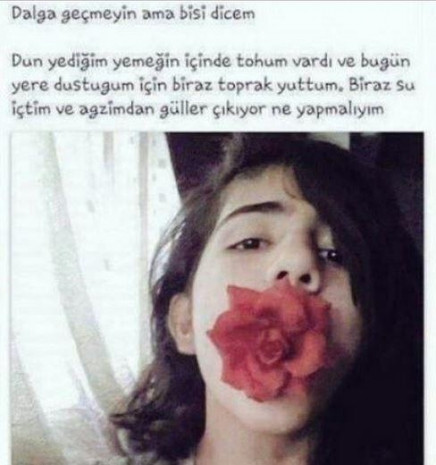 Sosyal medyanın en yeni fenomen paylaşımları-2 - Page 1