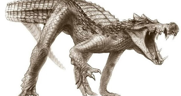 Torunları hala yaşayan dinozorlar - Page 2