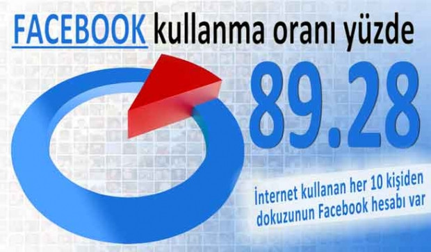 Türkiye'nin 2013 Facebook karnesi - Page 1