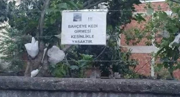 Türkiye'nin birçok yerinde ilginç görüntüler - Page 4
