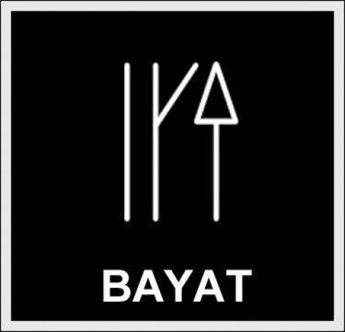 Türklerin soy ağacının il il listesi! Hangi Türk boyundansınız? - Page 3