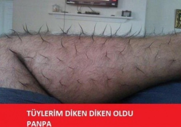 Tüylerimiz neden ürperir biliyor musunuz? - Page 4