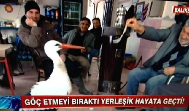 Ülkemizin açık hava tımarhanesine dönüştüğünün 16 kanıtı! - Page 4