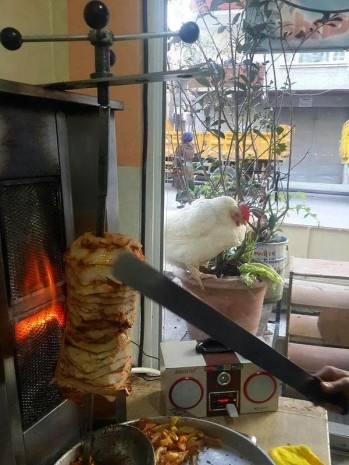 Üstüne yorum bile yapılmaması gereken dünyanın en hüzünlü 21 fotoğrafı - Page 1